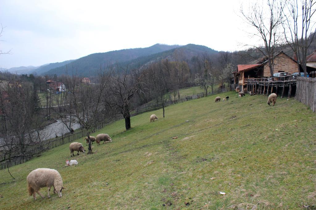 Ethno Village Bogut Bogutovac Eksteriør bilde